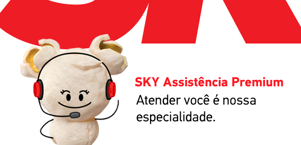 Assistência Técnica SKY